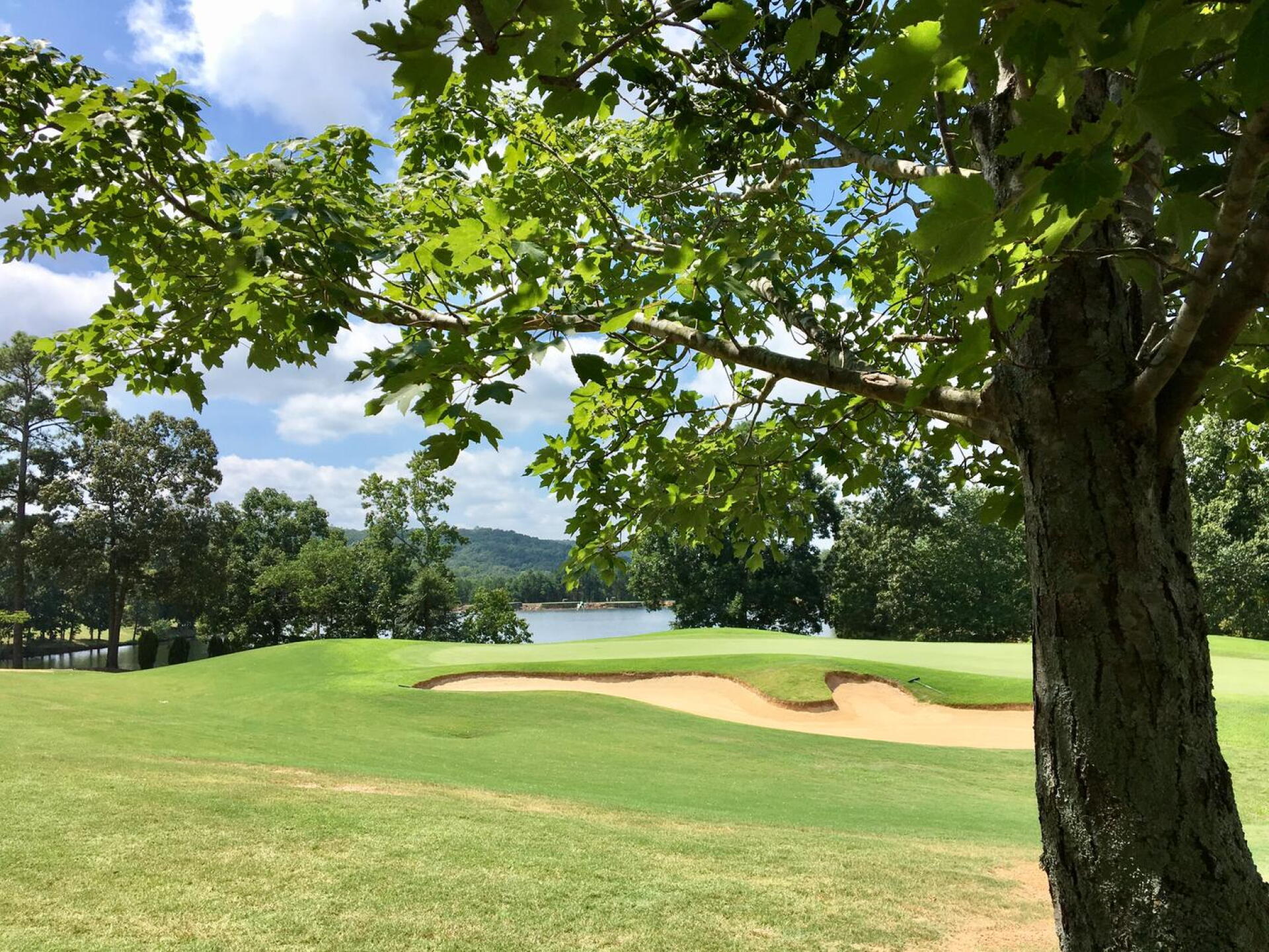 First green (Photo submitted by BrandonWebb on 08/23/2017)