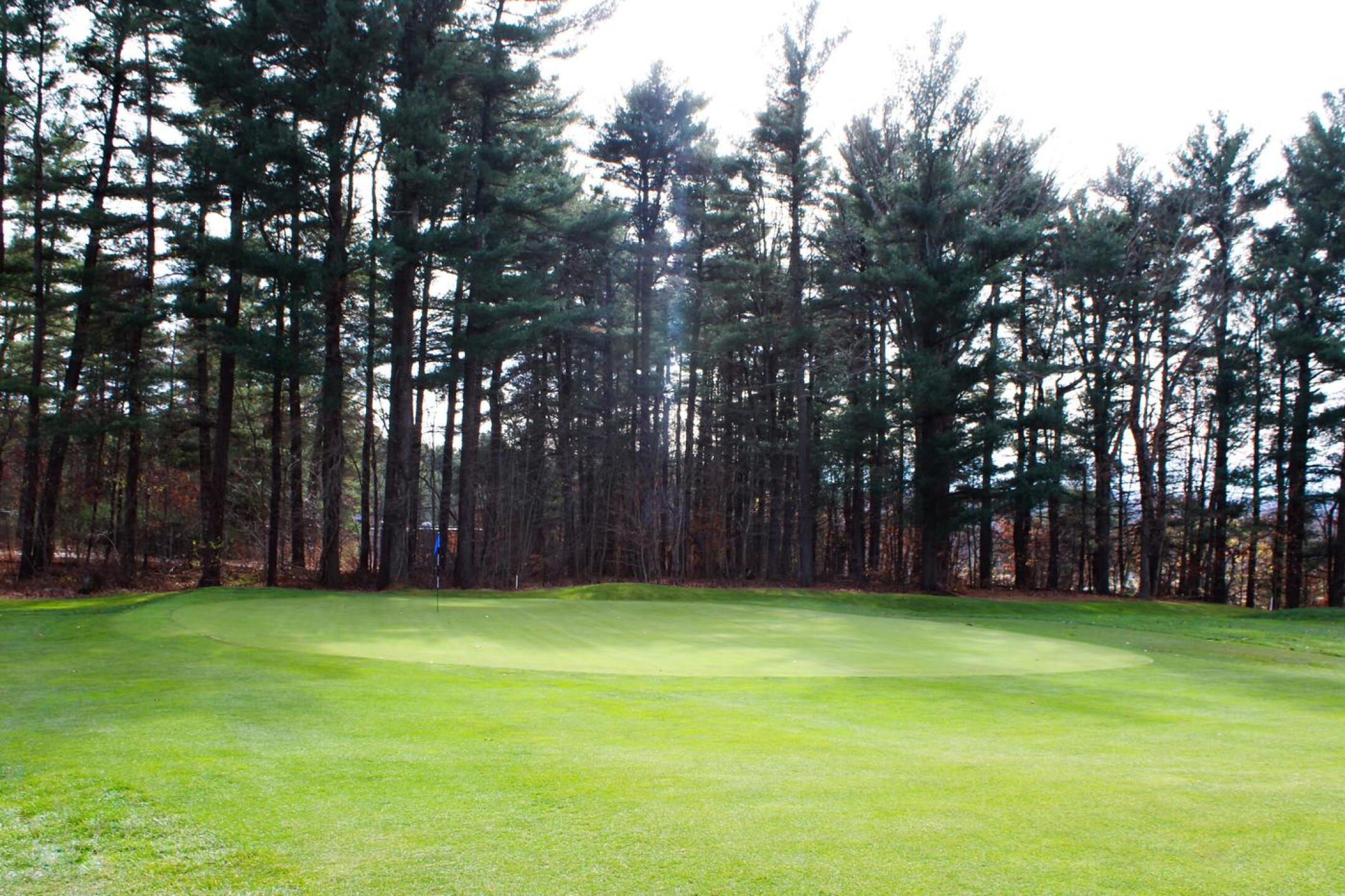 Backed by tall trees, green seventeen lies at the end of a long fairway. (Photo submitted by AptlyLinked on 11/13/2024)