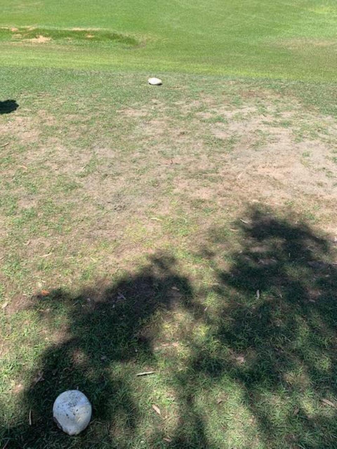 (Photo submitted by e0EK35BLqqVxECACTbuW on 07/08/2020)