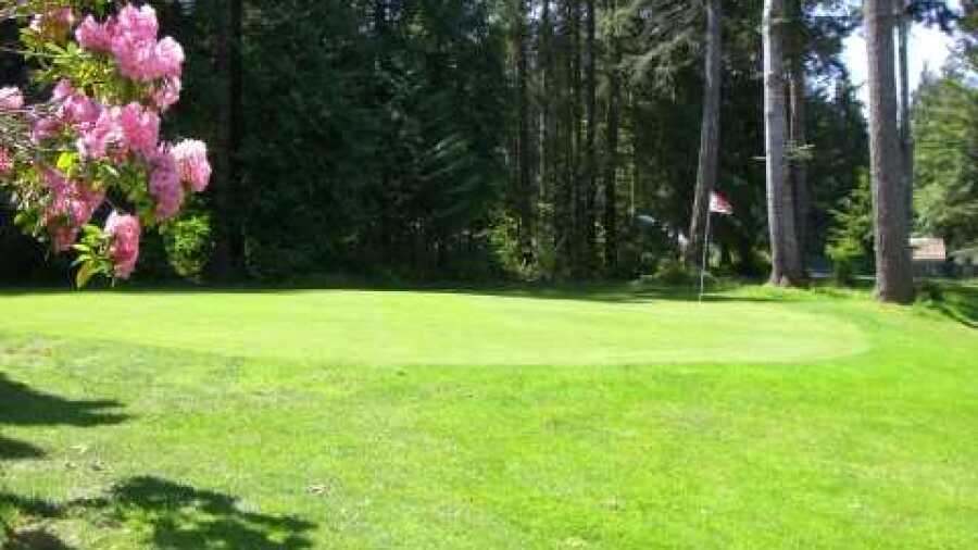 Delphi GC: #3
