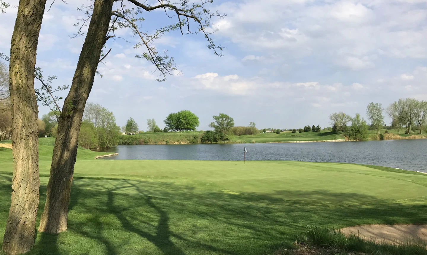 Mistwood Golf Club - no. 14