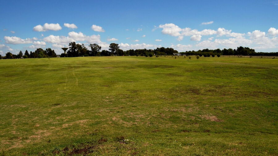 Carhue GC
