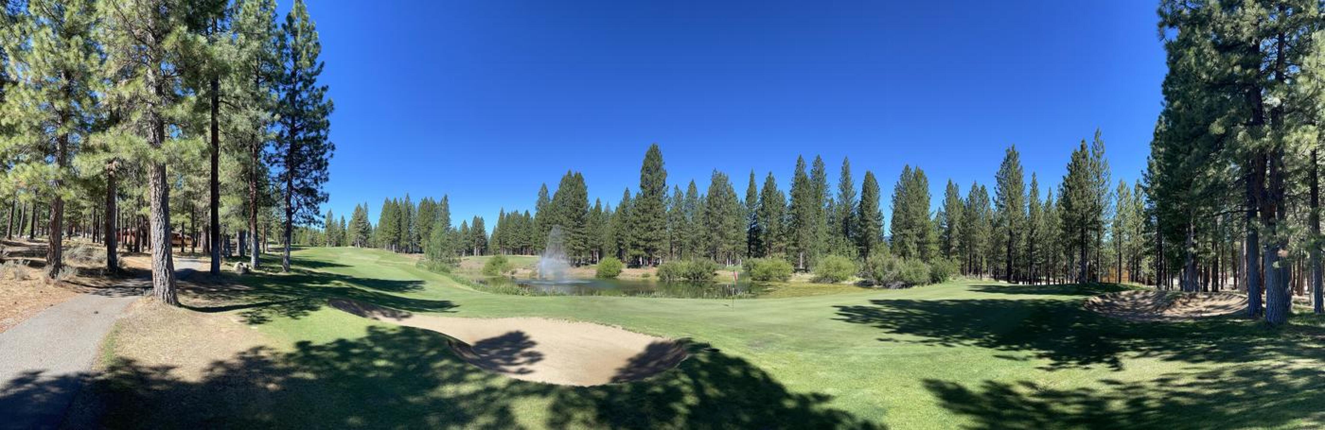 (Photo submitted by u413962830 on 07/08/2021)