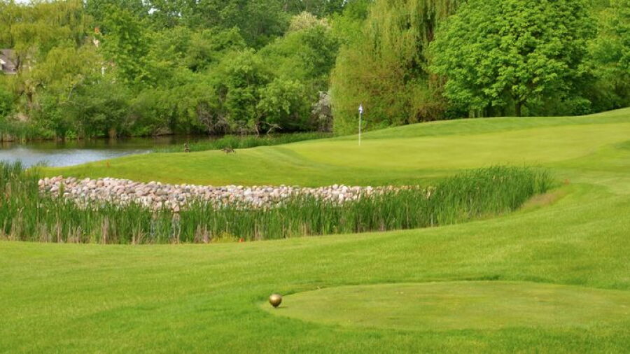 The Grove CC