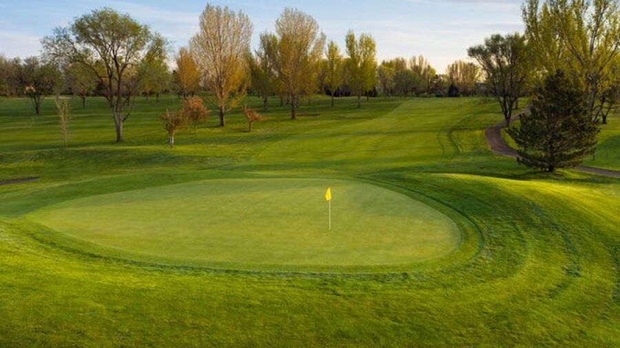 Fox Hill CC