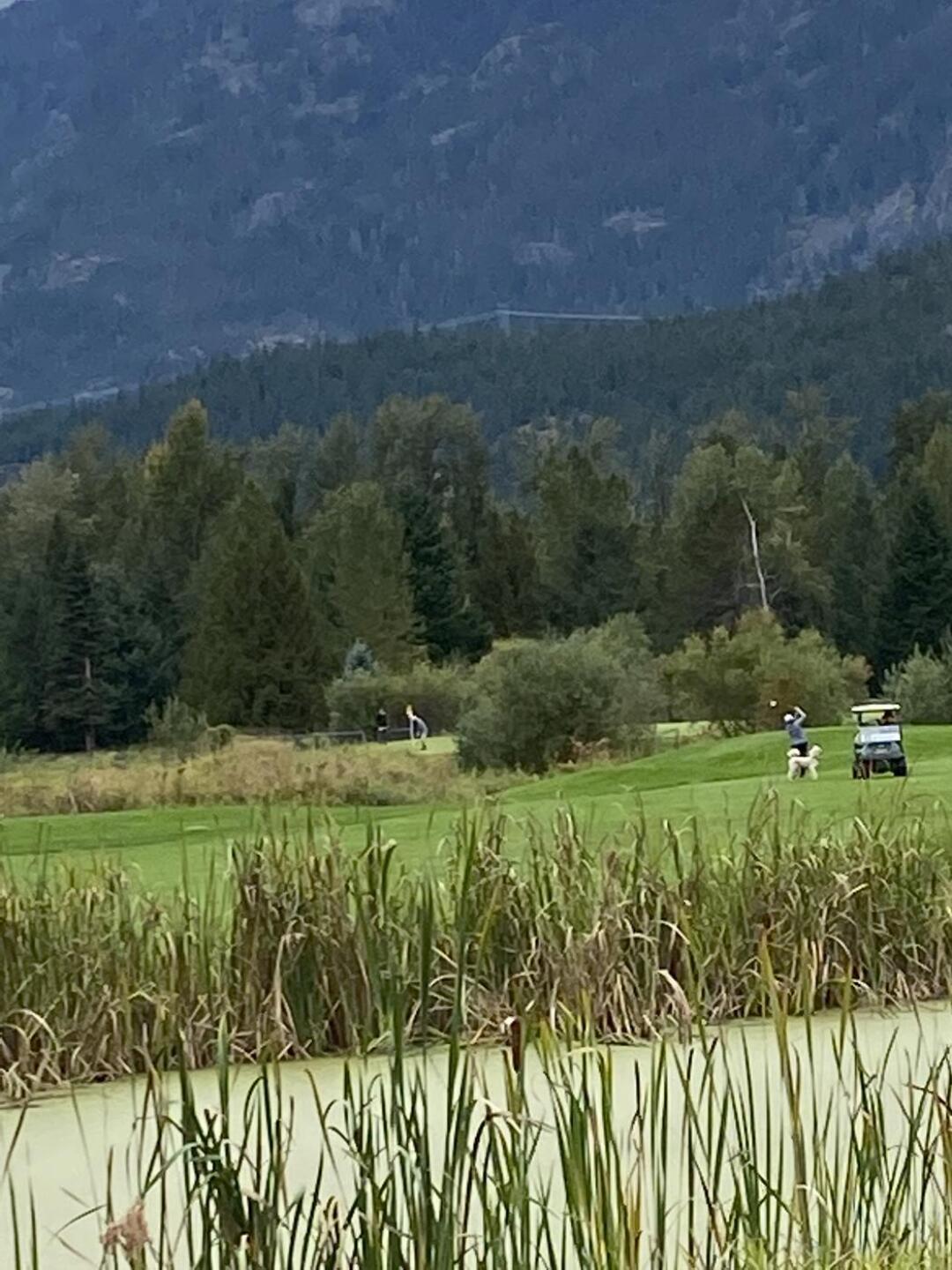 (Photo submitted by u314162207137 on 09/21/2021)