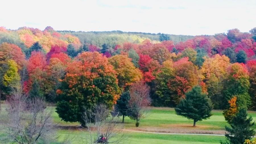 Mill Run - fall colors 