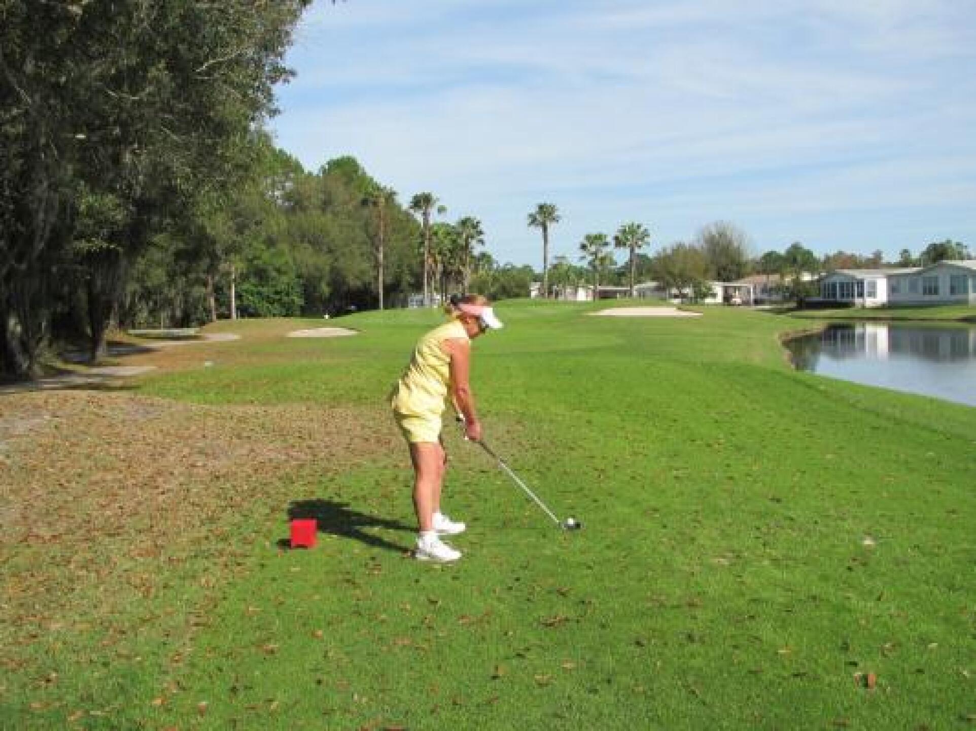 (Photo submitted by Alsy1947 on 12/29/2014)