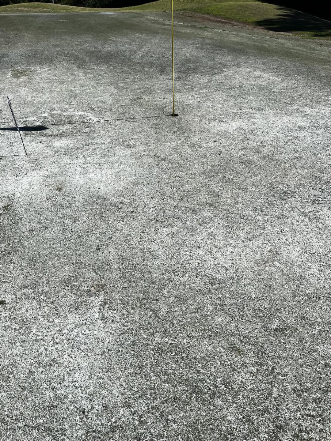 (Photo submitted by u9910307 on 04/20/2024)