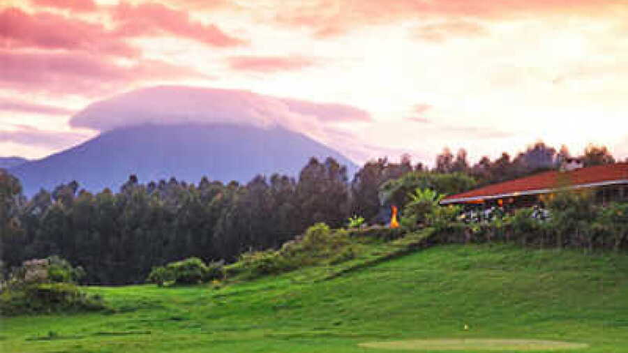Gorillas Nest Lodge & Resort GC