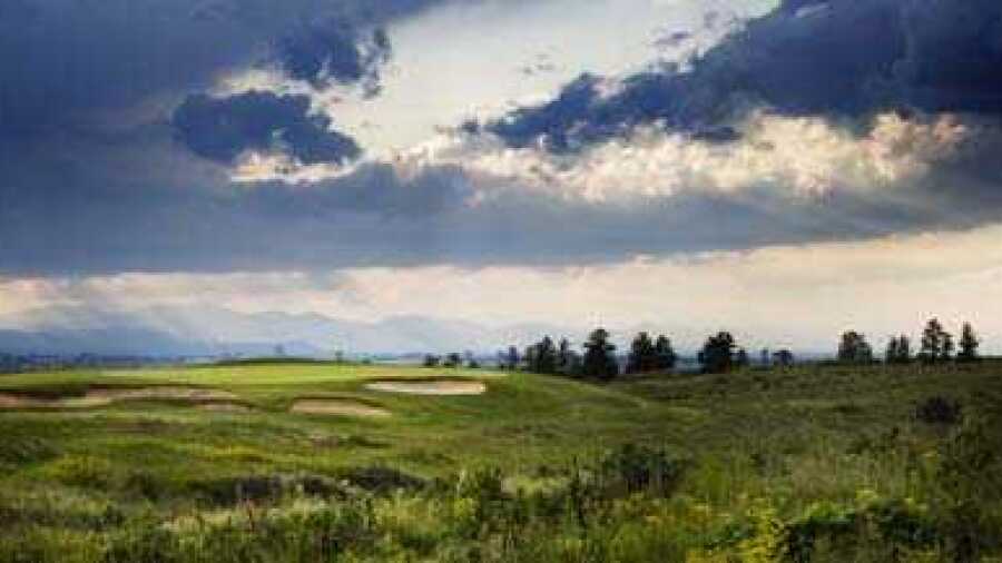 Black Bear GC
