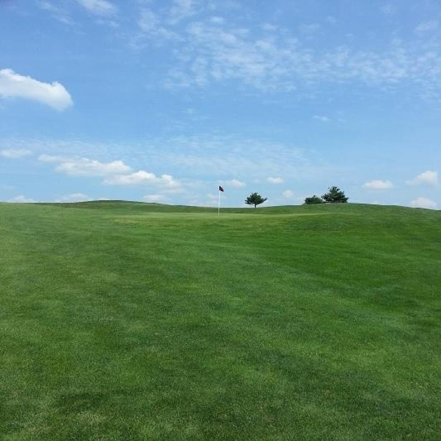 (Photo submitted by rsmy123 on 06/24/2013)