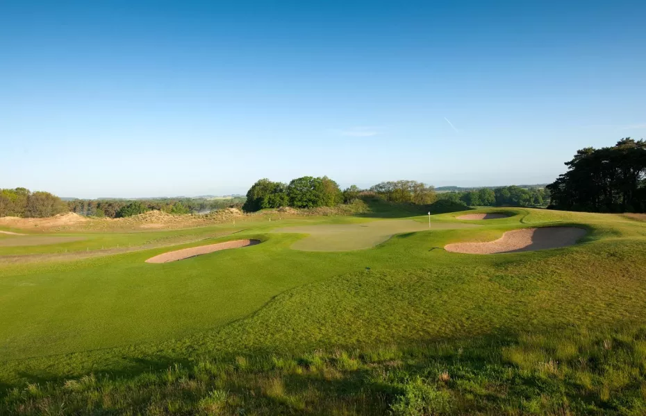 WINSTON GC - Kranich