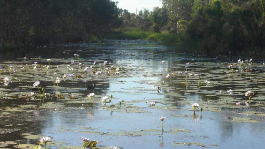 North Rockhampton GC