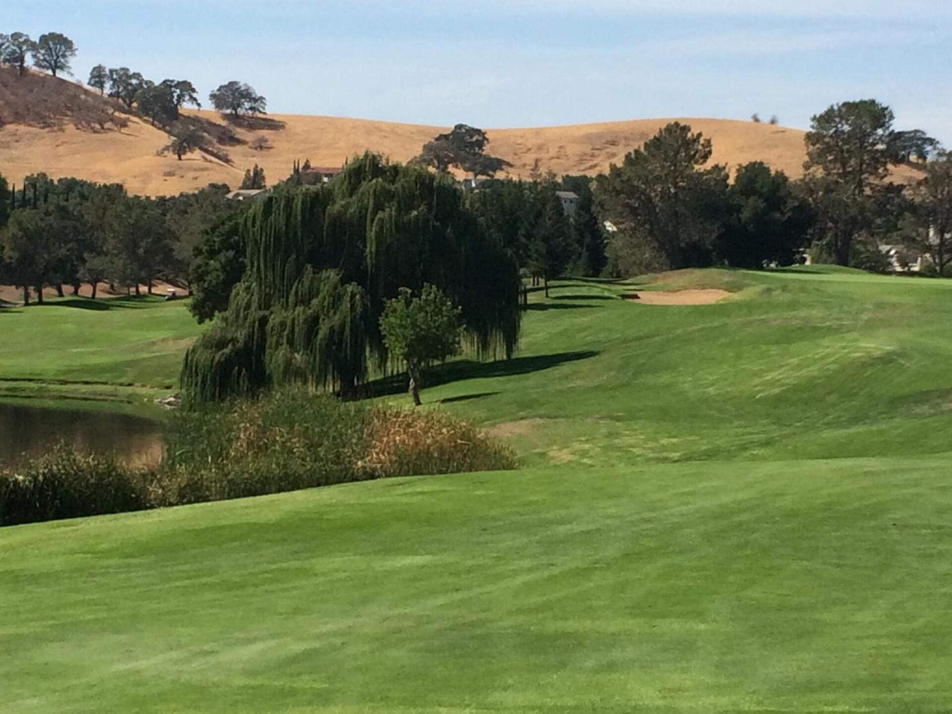 No drought here! (Photo submitted by Hoot55 on 10/29/2015)