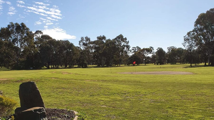 Elmore GC