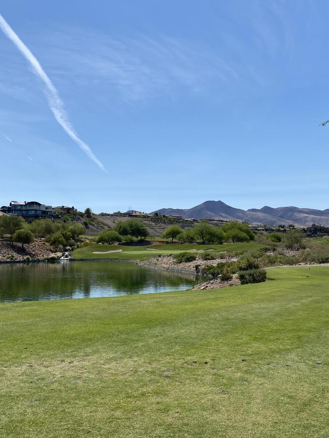 (Photo submitted by u133985572 on 06/15/2021)