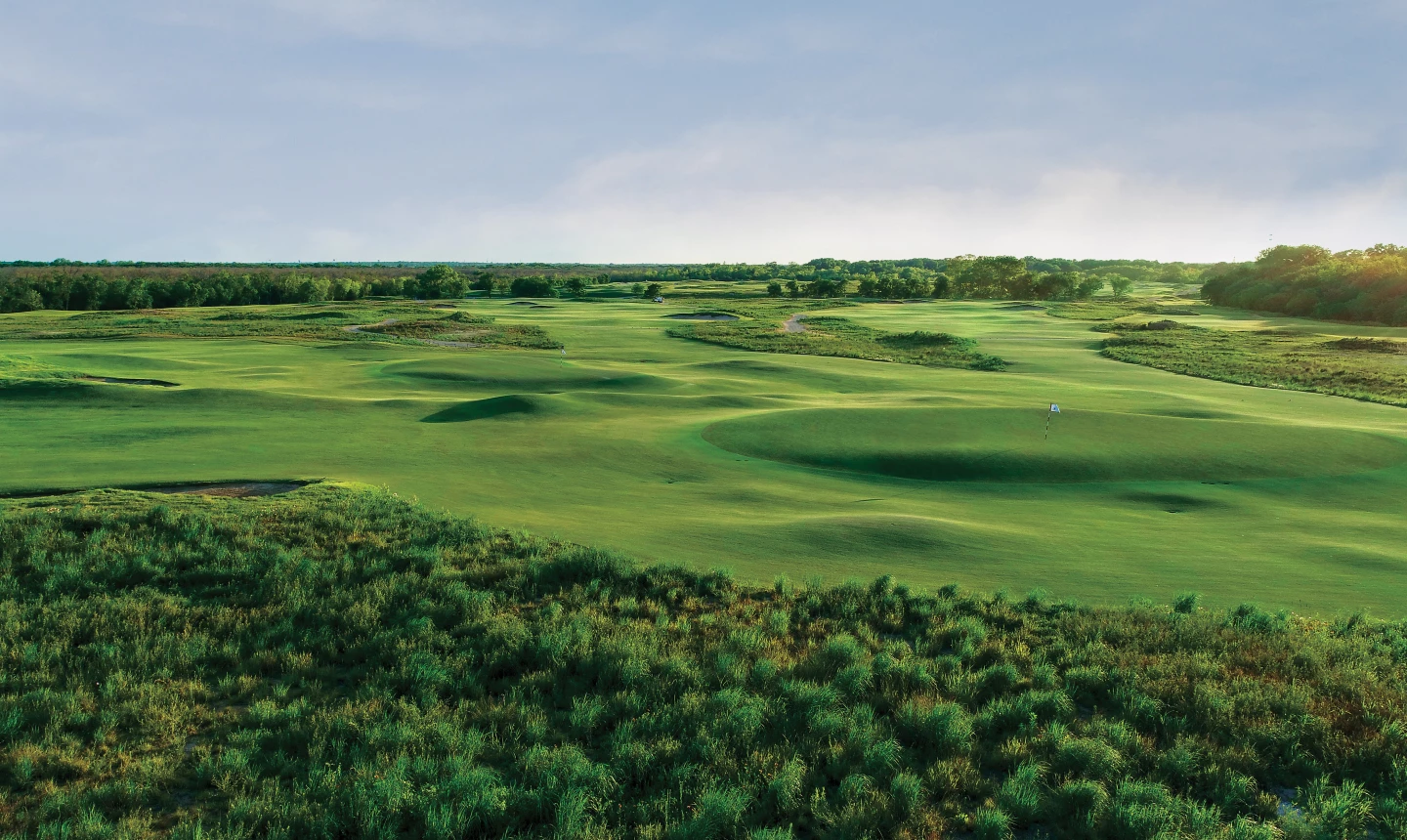 Trinity Forest - no. 15