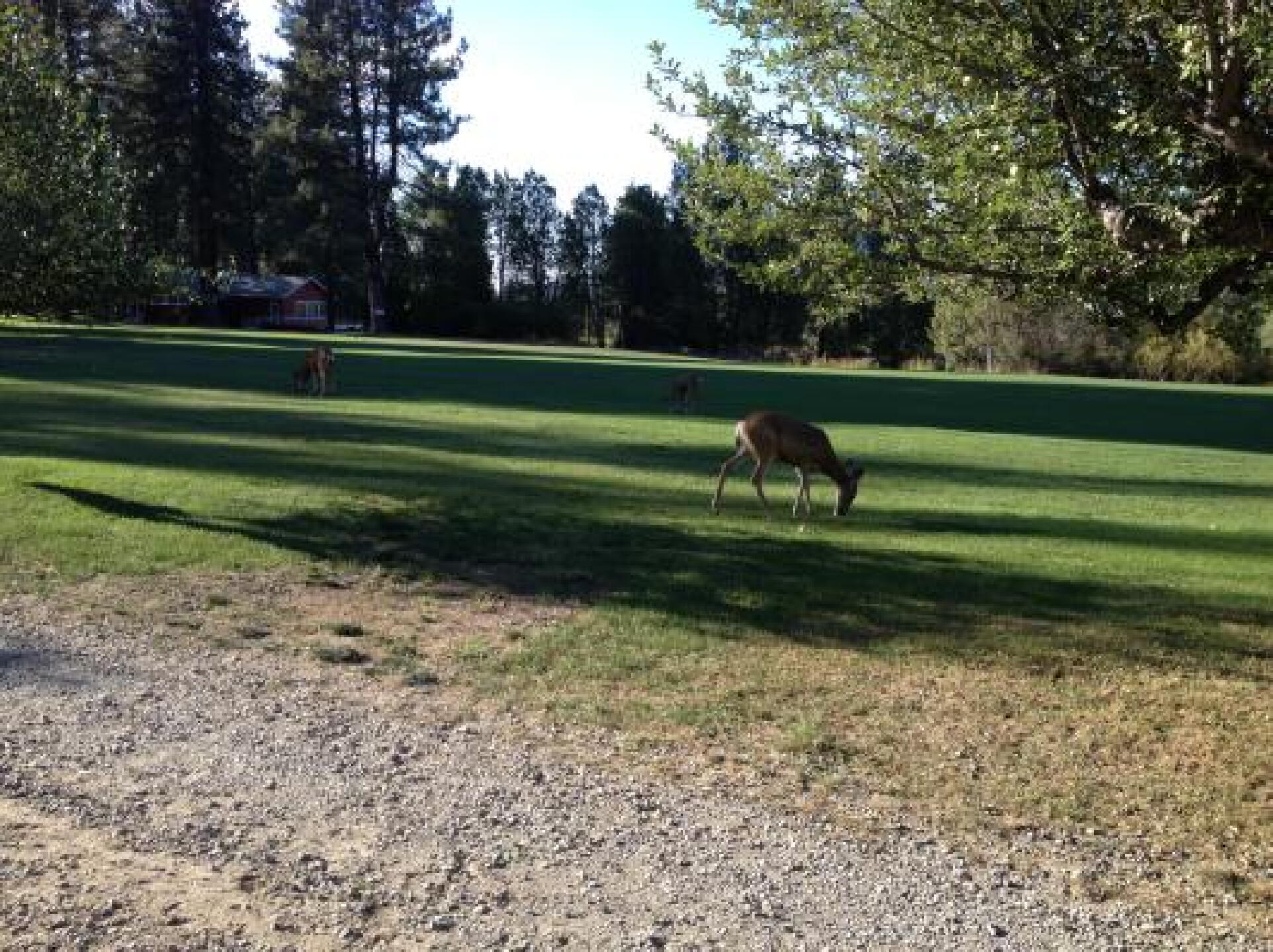 (Photo submitted by Sharis530 on 09/10/2014)