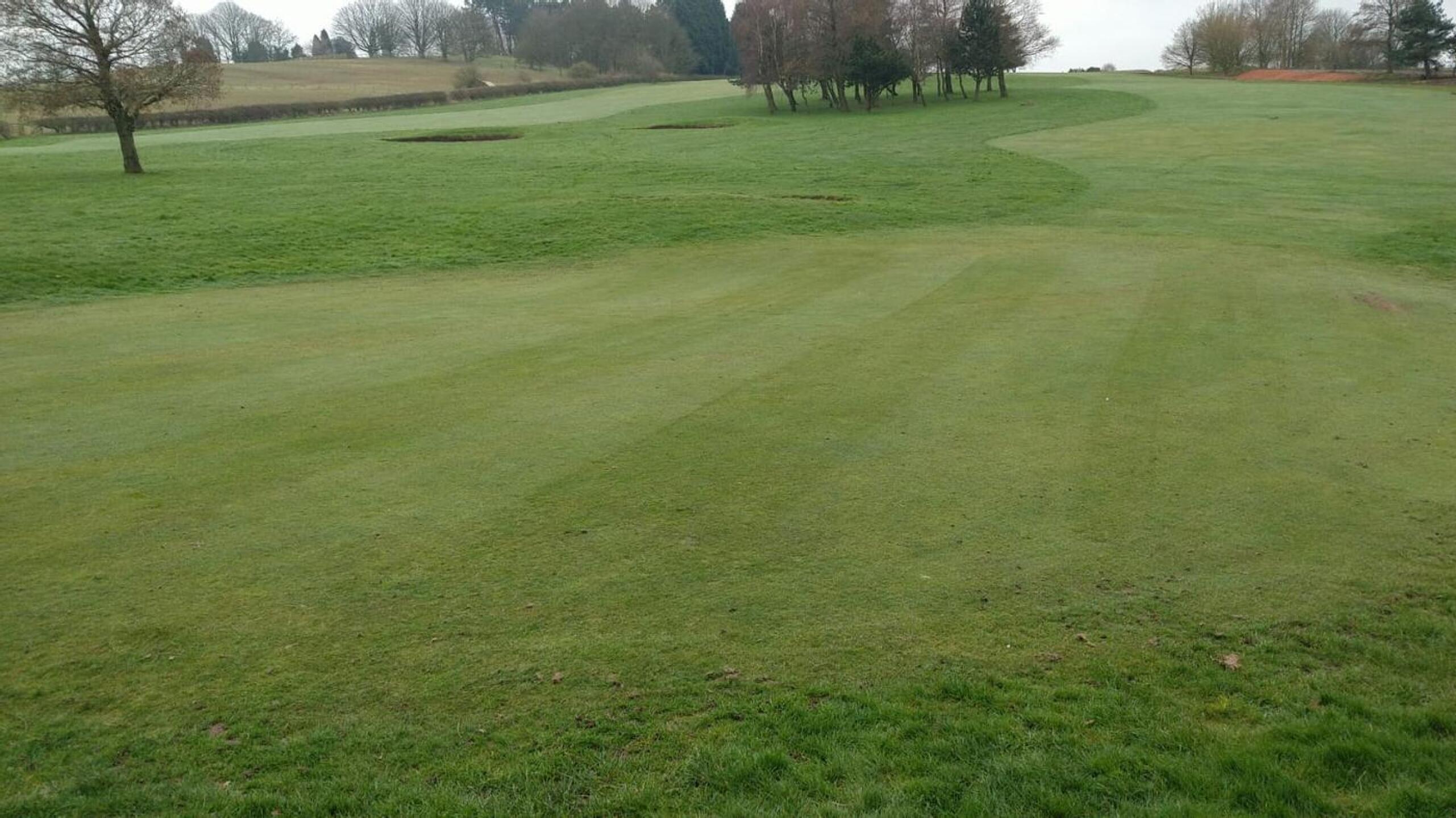 (Photo submitted by TGordon2 on 04/04/2021)