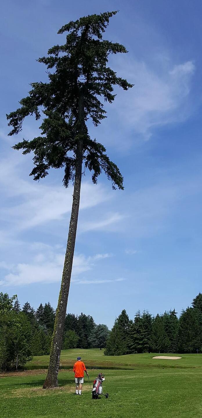 (Photo submitted by KommissarKen on 06/20/2020)