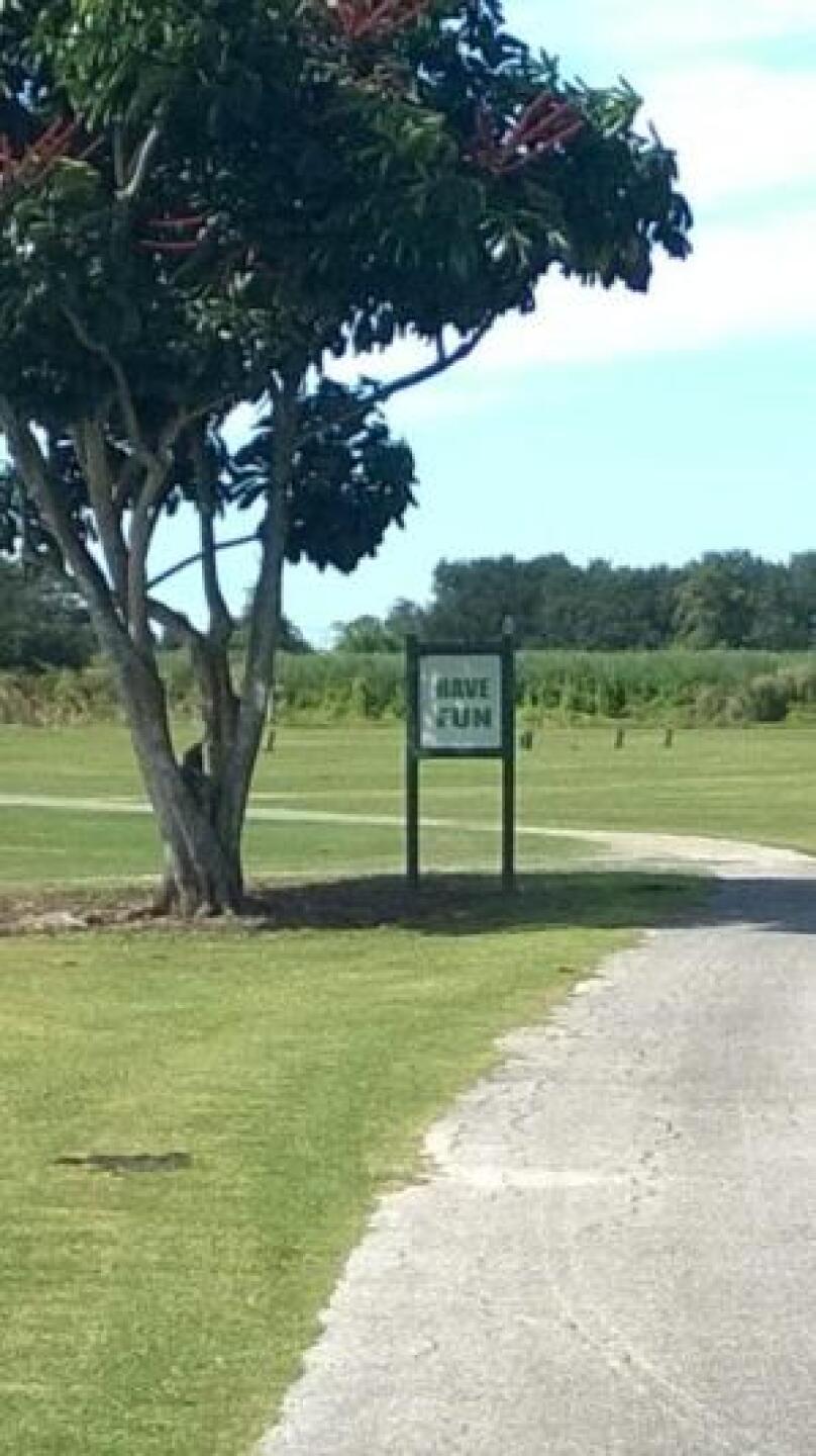 This is inevitable (Photo submitted by borreklaw on 10/08/2014)