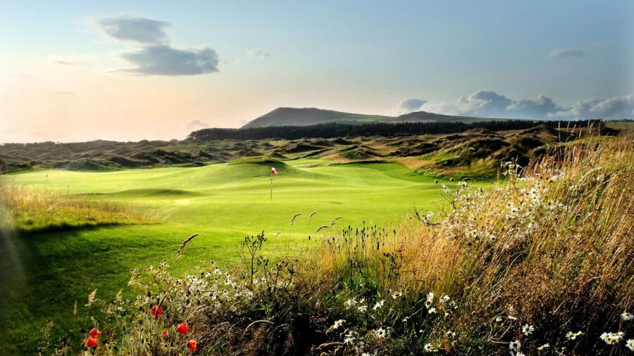 Dumbarnie Links: #3