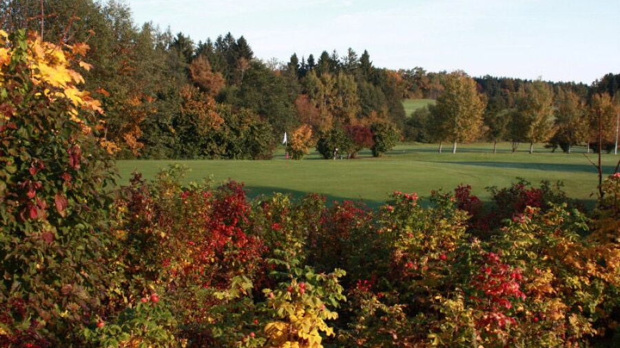 Iffeldorf GC: #16