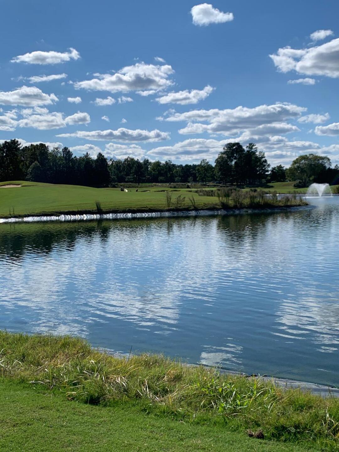 (Photo submitted by Dajoon92 on 10/04/2020)