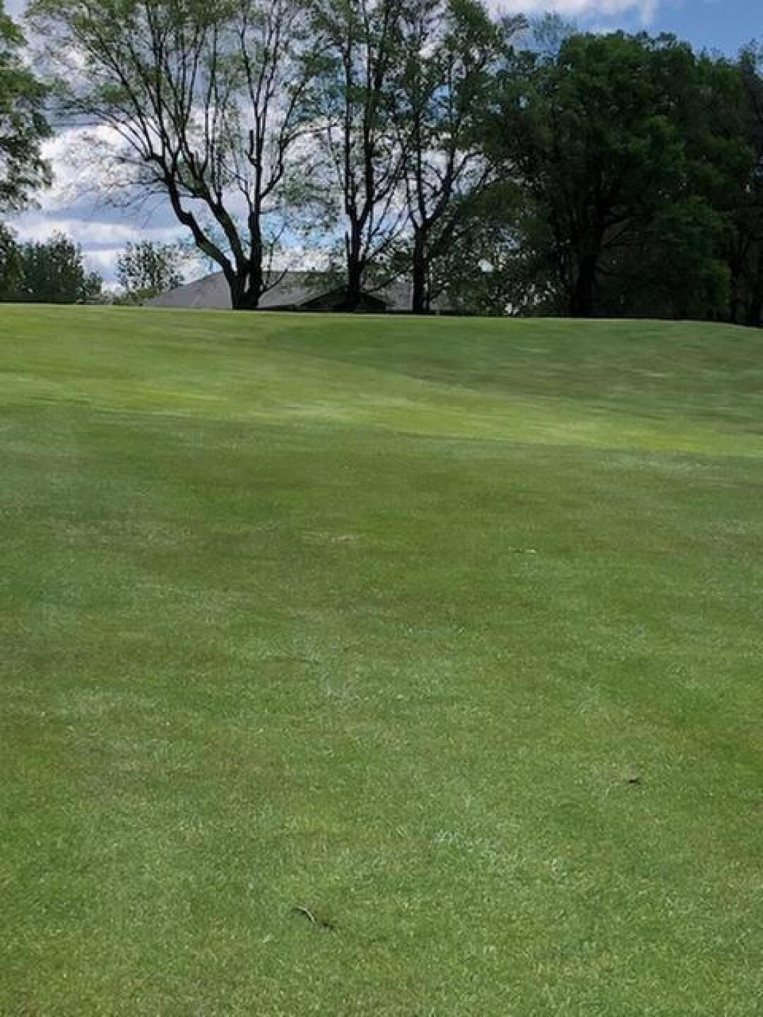 (Photo submitted by Kale1523211 on 06/21/2020)