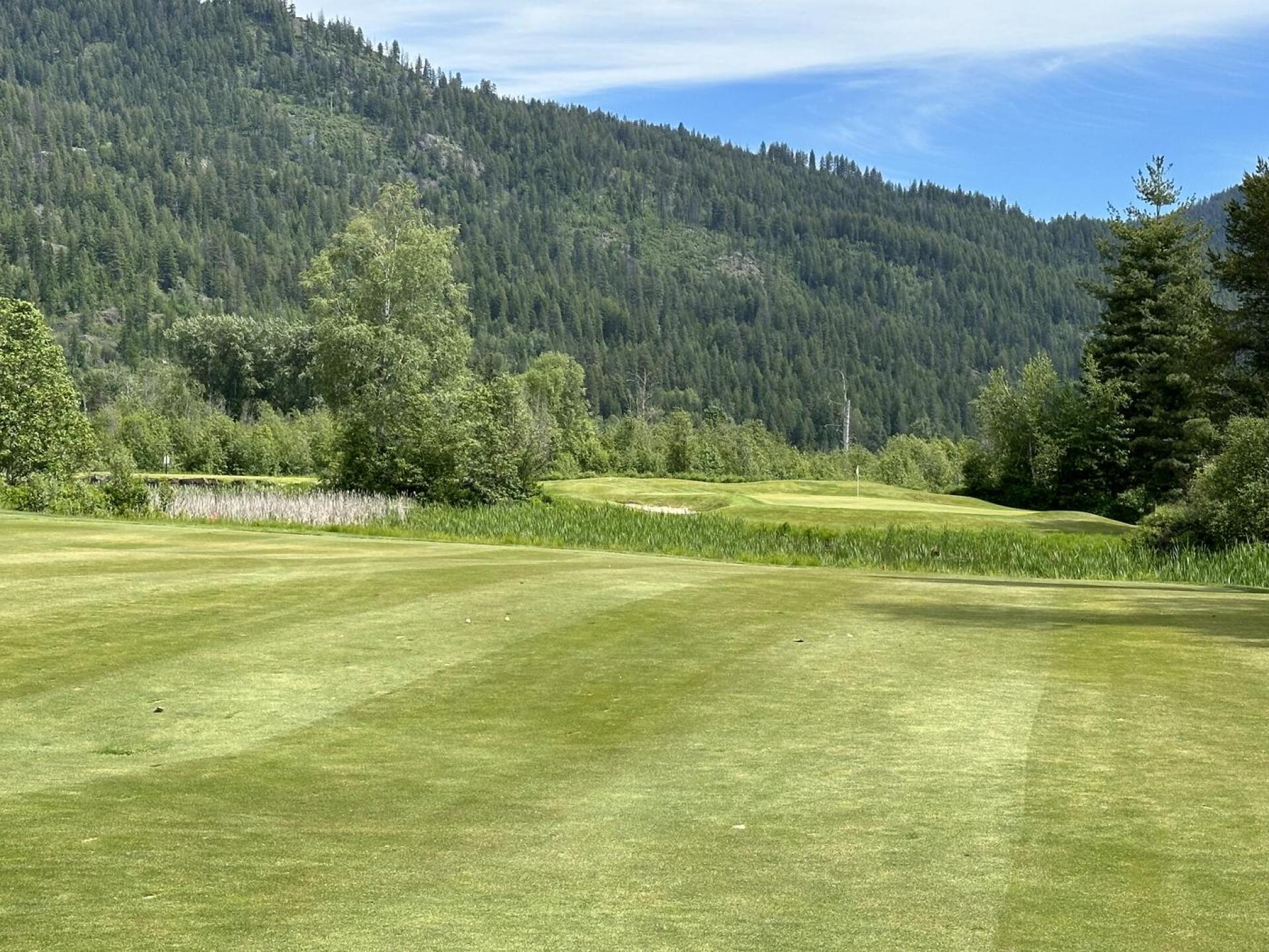 (Photo submitted by Corey4652891 on 06/07/2024)