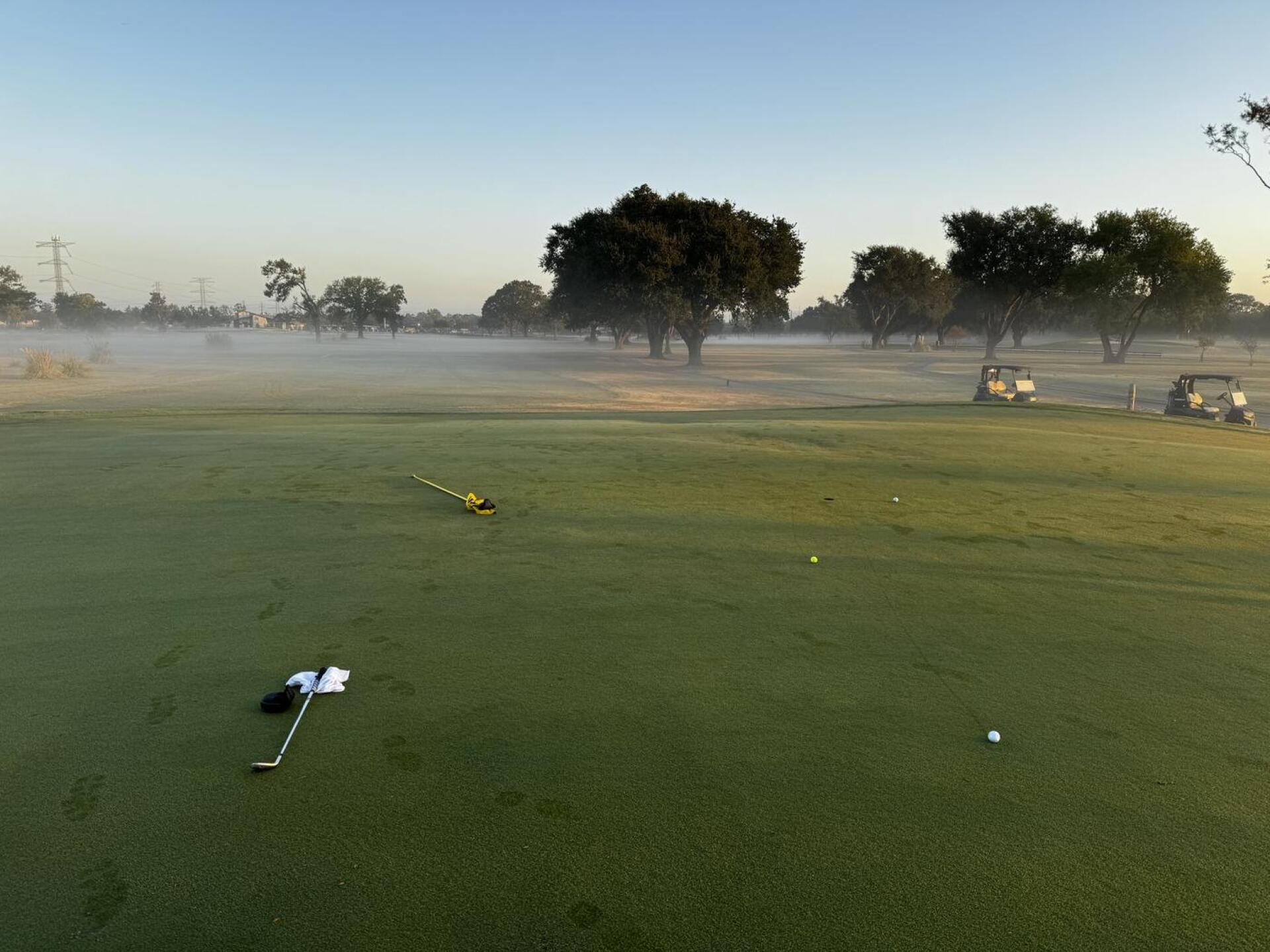 Dew didn’t slow down green! (Photo submitted by sawcsw on 10/27/2024)