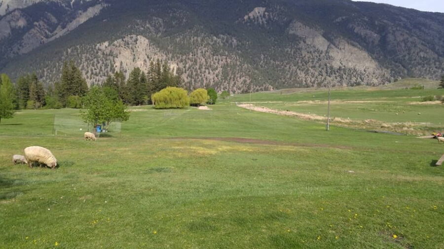 Sheep Pasture GC