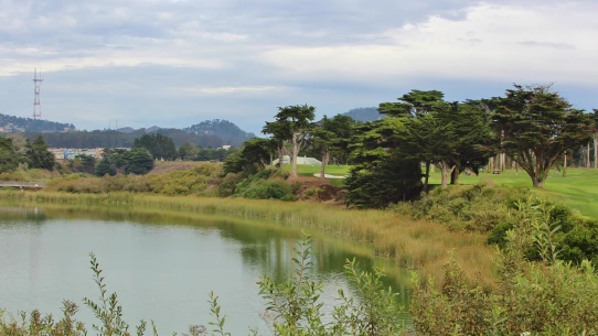 TPC Harding Park golf course - hole 18 
