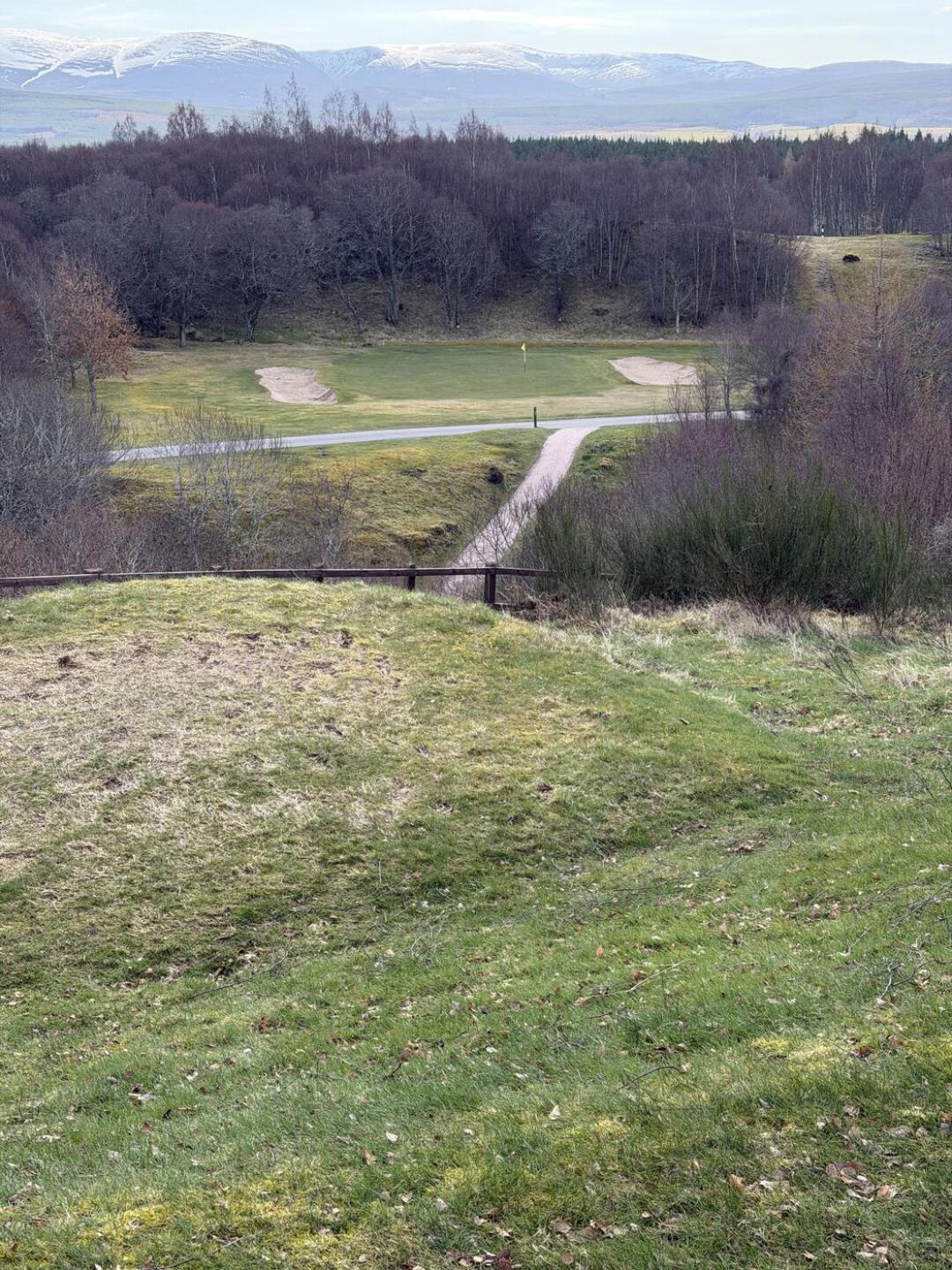 (Photo submitted by MStrachan01 on 04/07/2026)