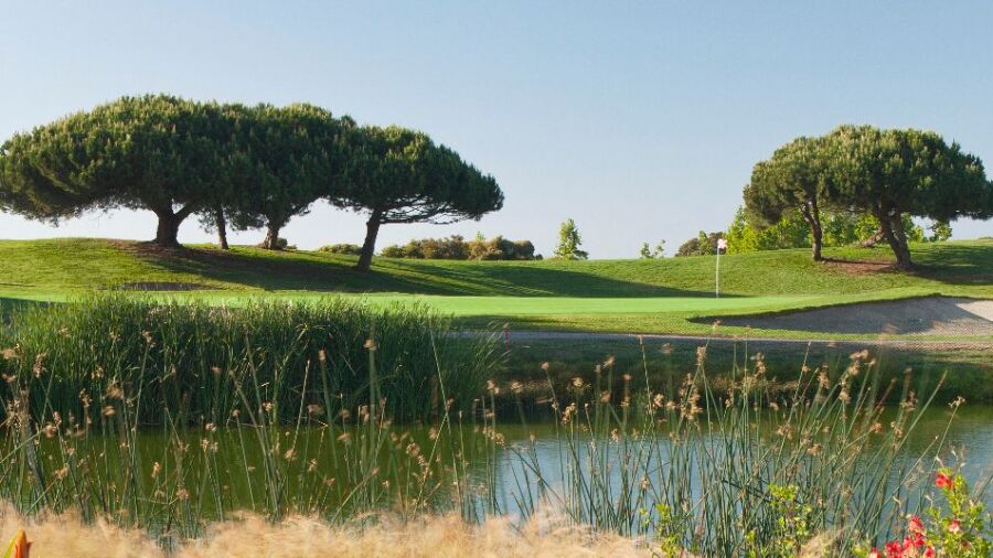 Shoreline Golf Links at Mountain View