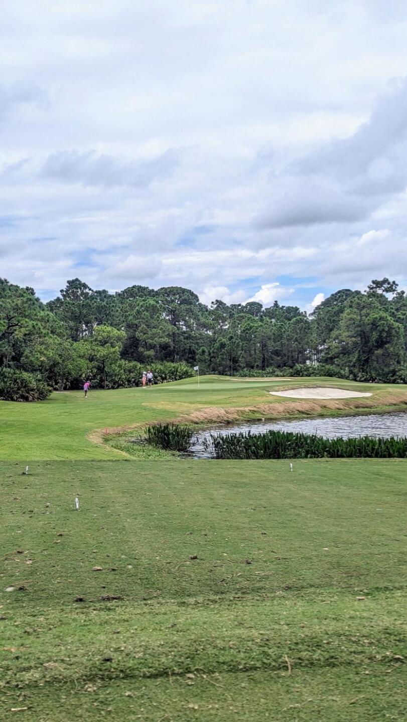 (Photo submitted by tiburonazo on 10/16/2024)