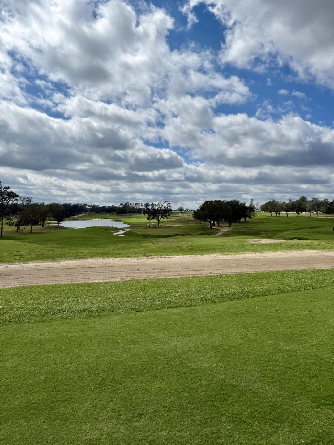 (Photo submitted by rich4par on 02/23/2025)