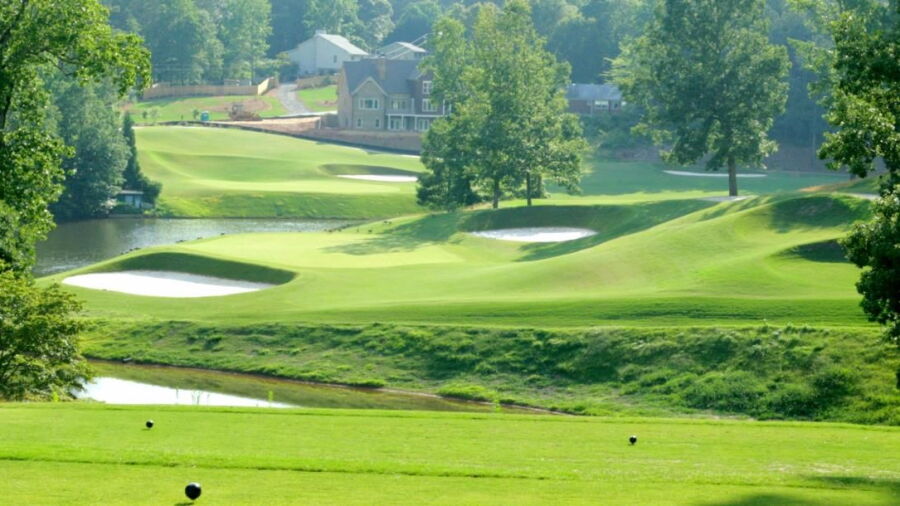 Pinetree CC