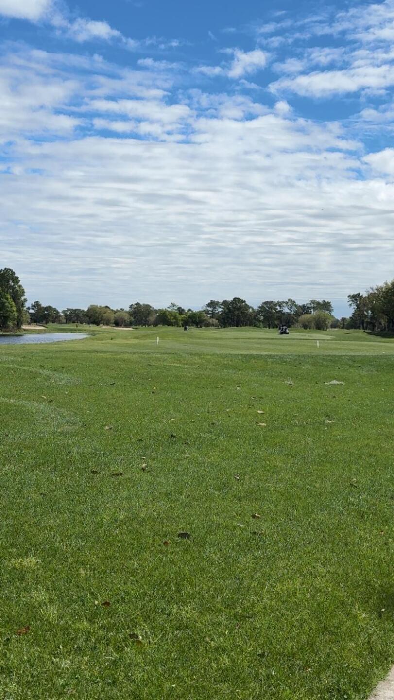 (Photo submitted by ZfwJBmCoGIDigh8j7fpM on 03/18/2026)