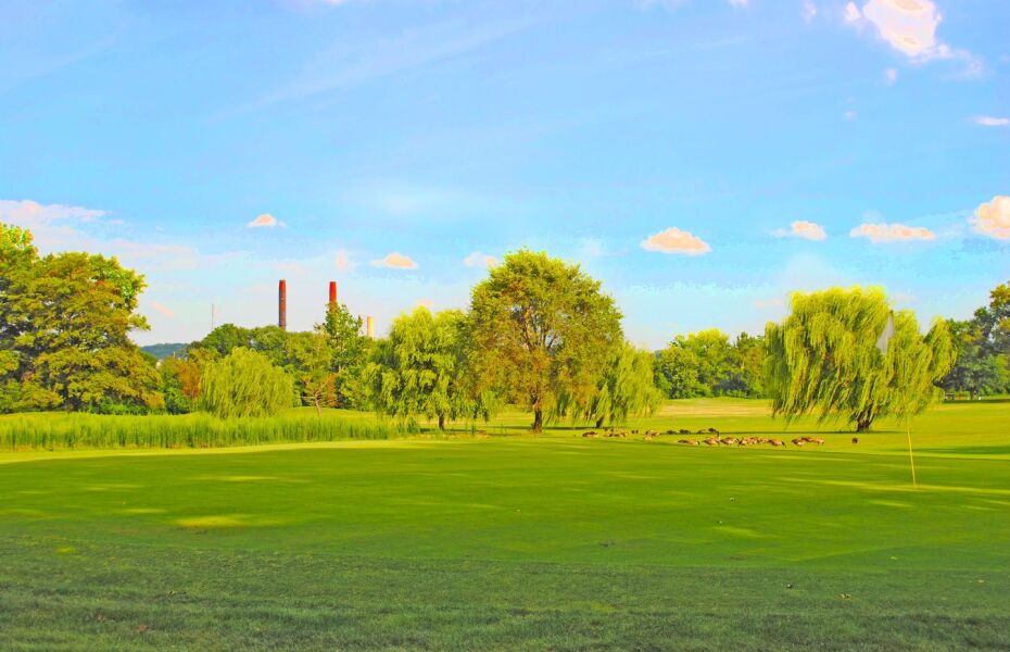 langston golf course locations