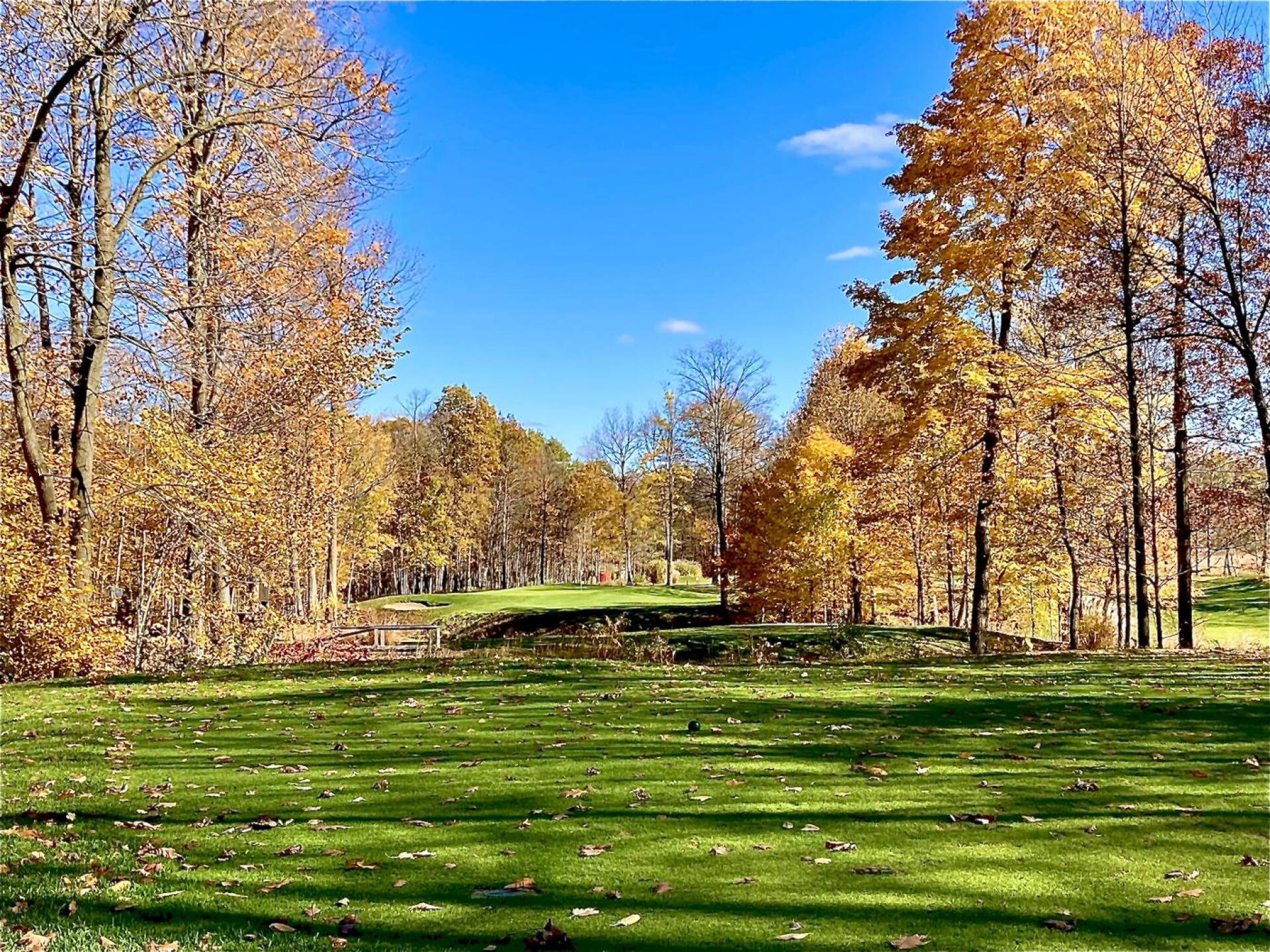 2020 fall, #11 par 3. (Photo submitted by 6CfodTm2RDuOxQy5NoM3 on 11/22/2020)