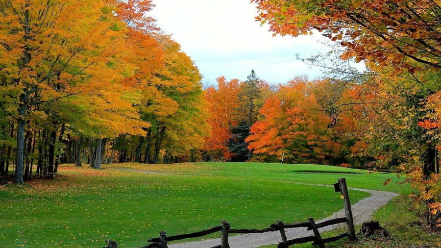 Manitoulin Golf