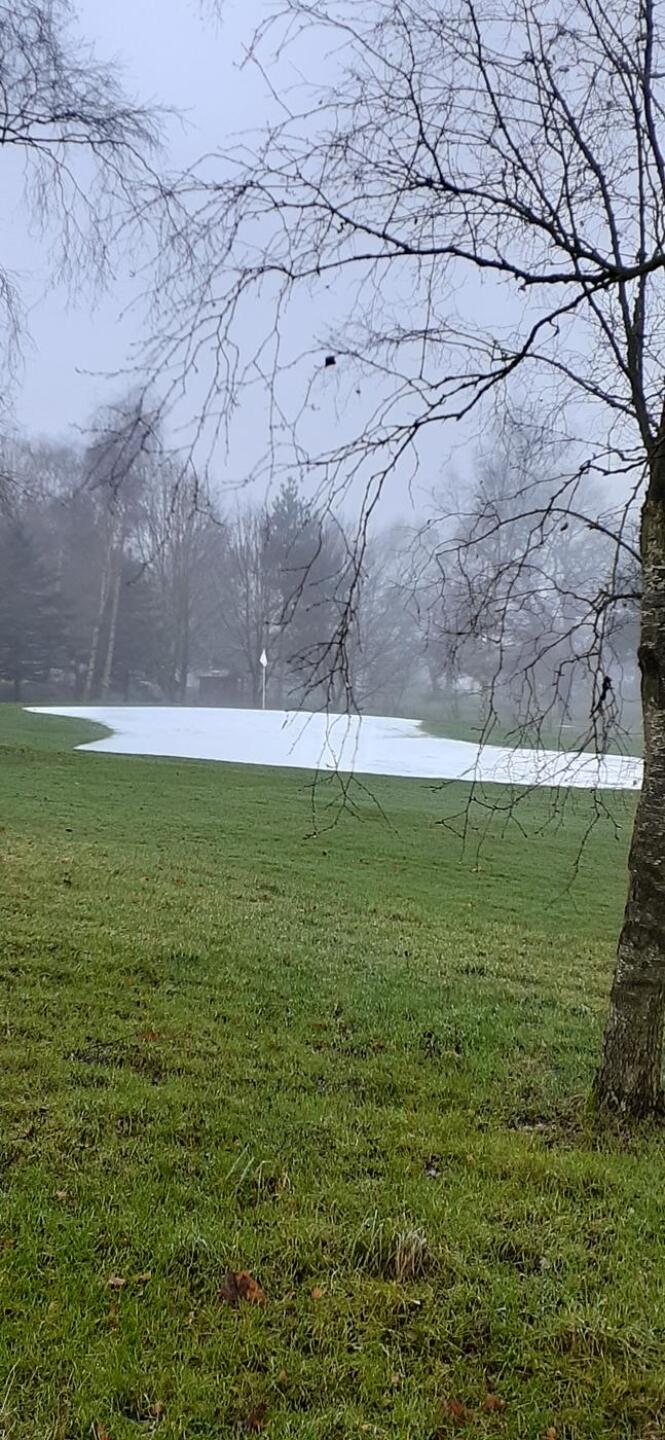 (Photo submitted by GrahamS24 on 12/05/2023)