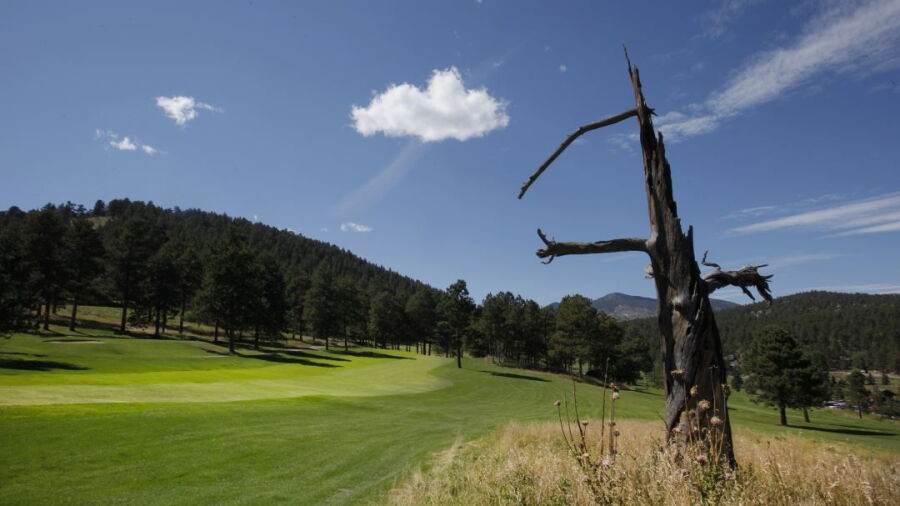 Evergreen GC: #2