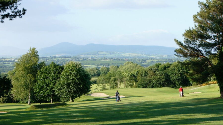New Ross GC: #11