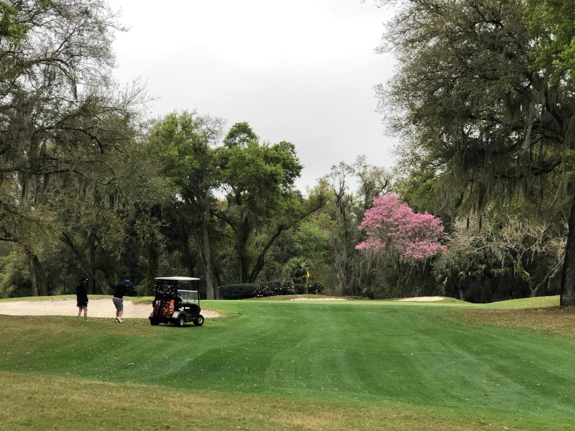 (Photo submitted by roodhistory on 02/16/2020)