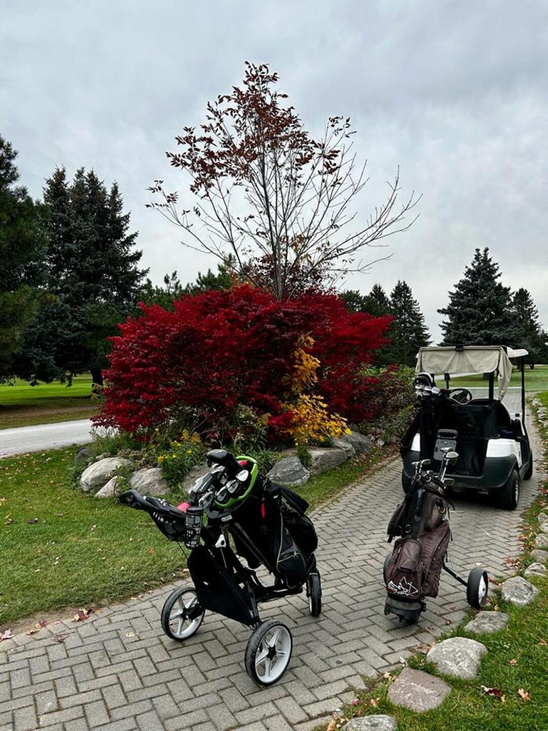 (Photo submitted by Merv4 on 10/26/2023)