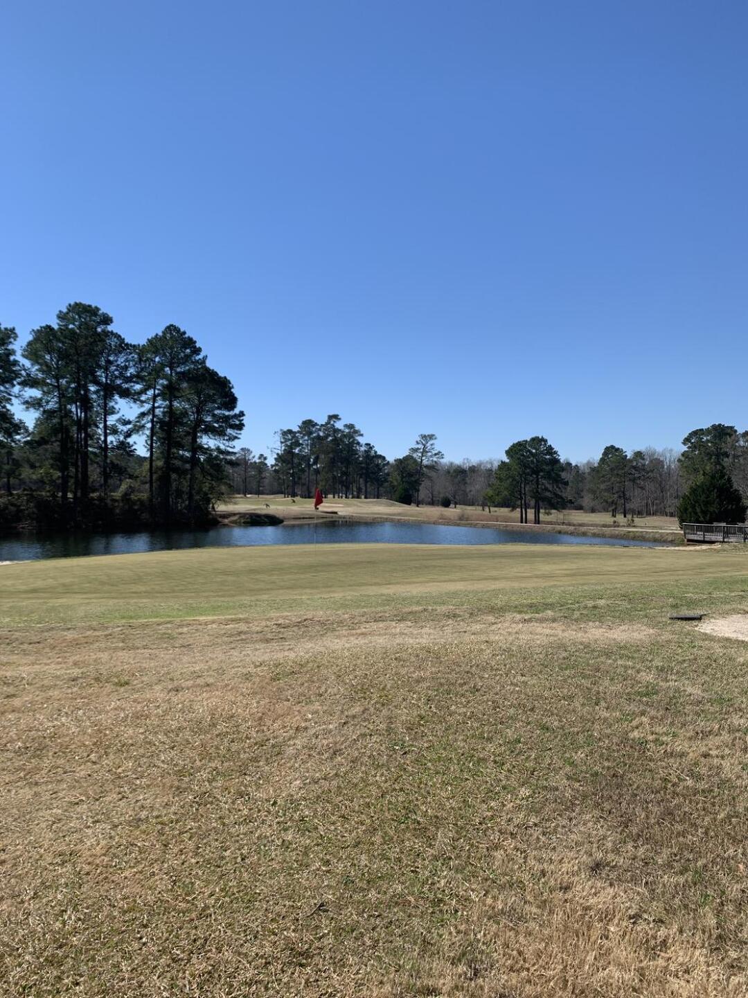 (Photo submitted by u022253265 on 03/03/2022)