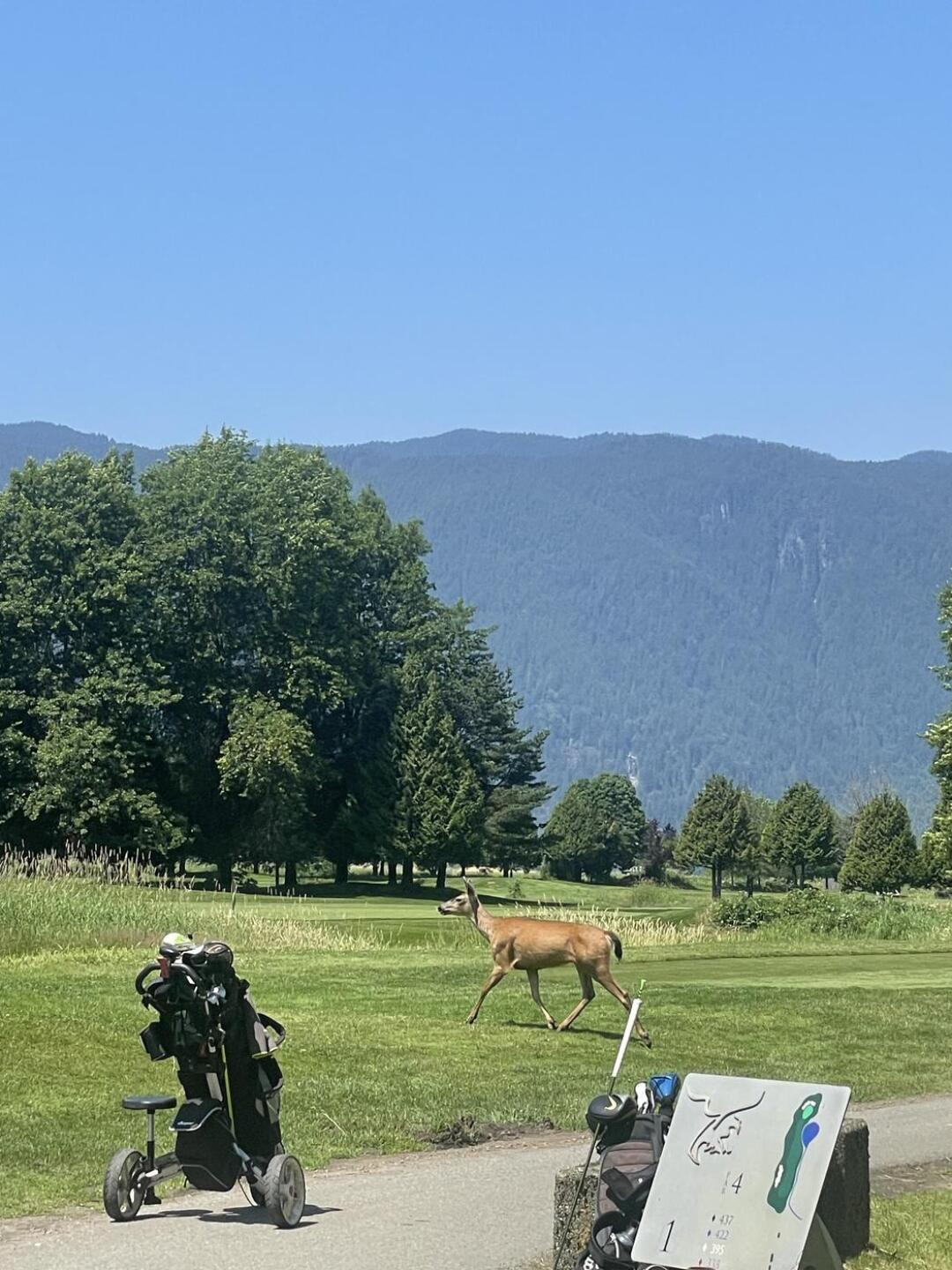 (Photo submitted by Roger9042829 on 06/26/2023)